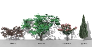 2D-3D Trees - Volume 08