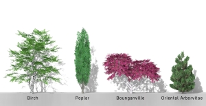 2D-3D Trees - Volume 12