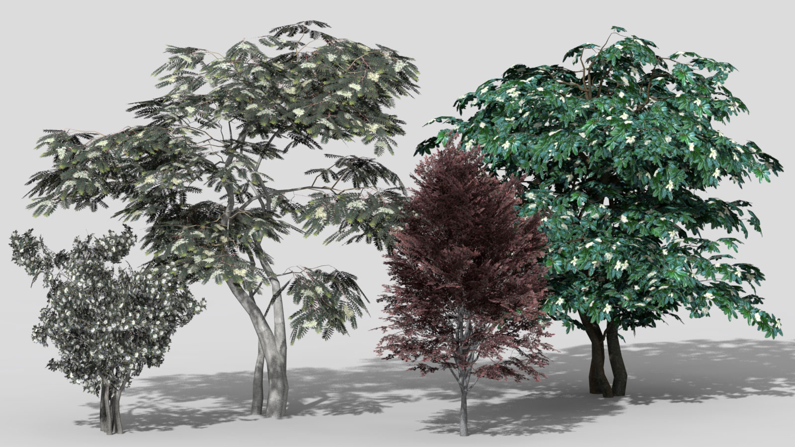 3D 2D Parametric Plants 07 news