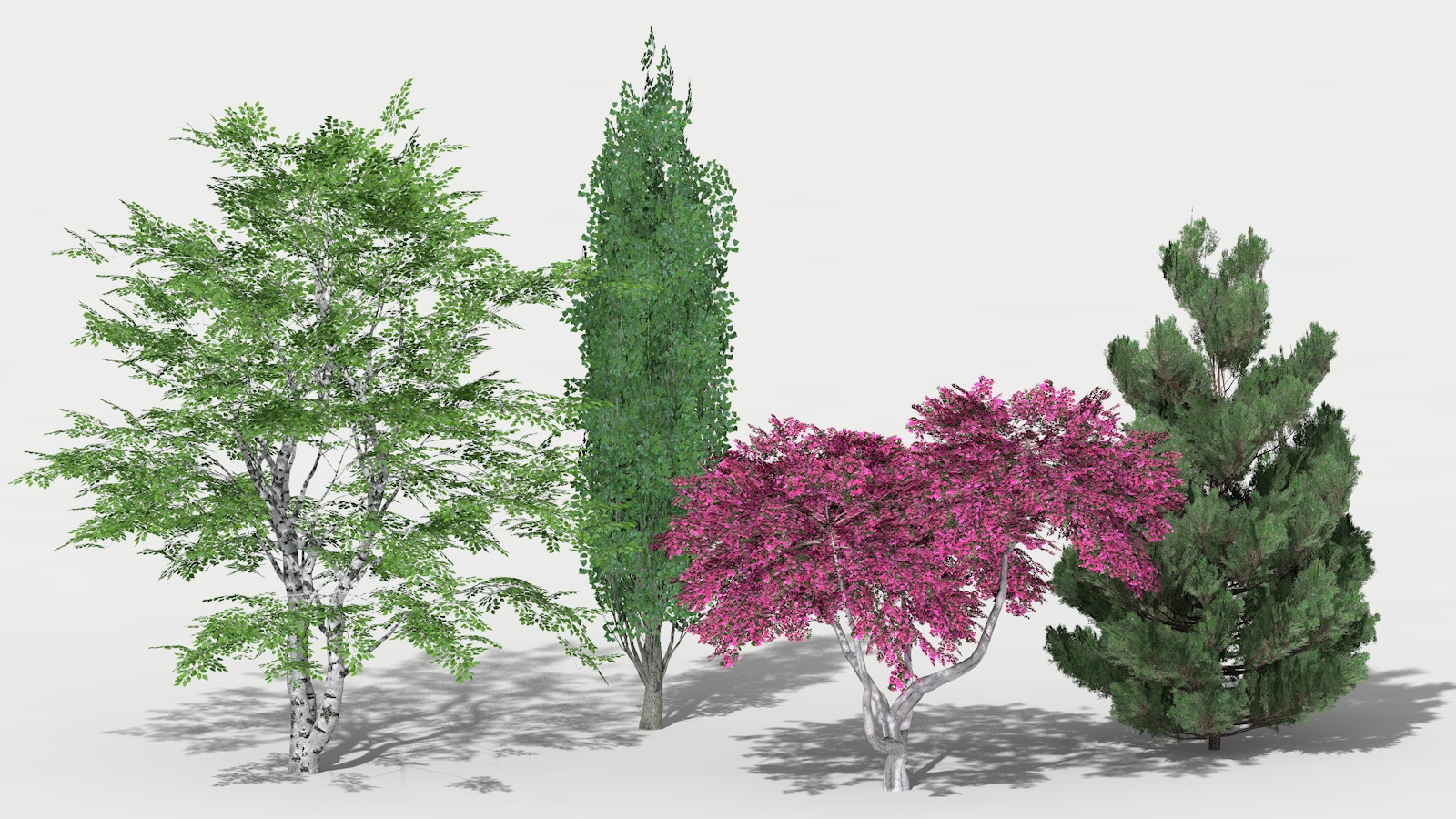 3D 2D Parametric Plants 07 news