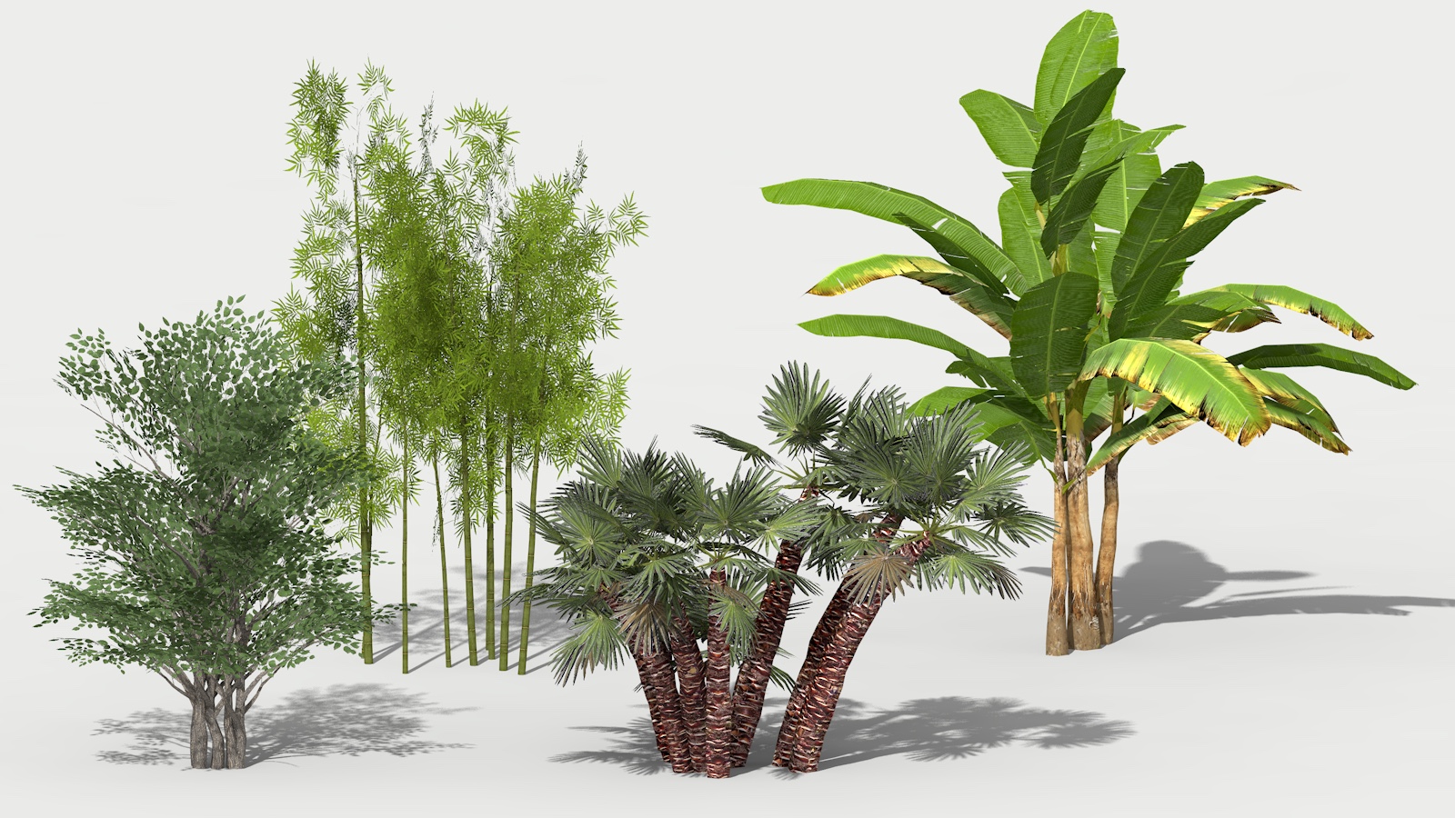 3D 2D Parametric Plants 07 news