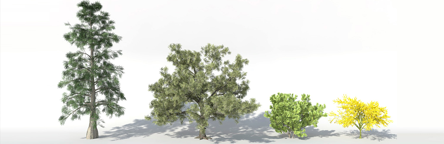 ArchiRADAR trees volume 11