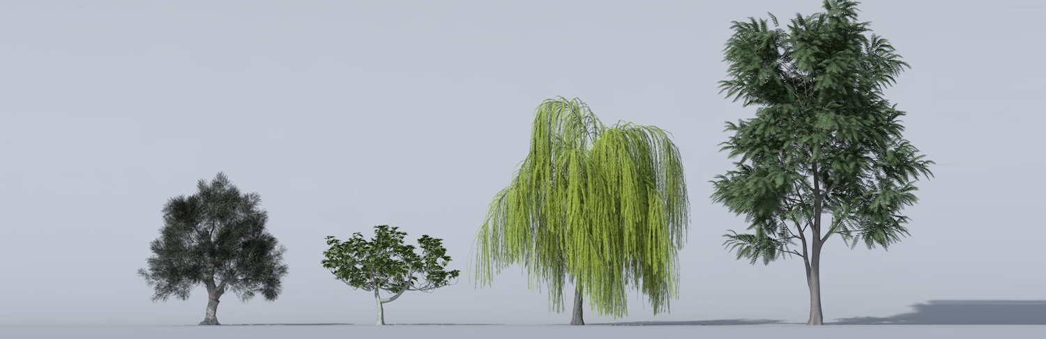 Archiradar trees collection 14