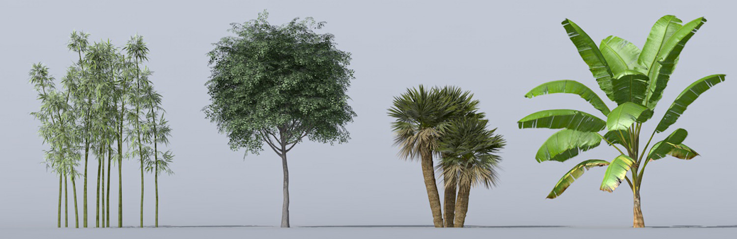 Archiradar trees collection 16